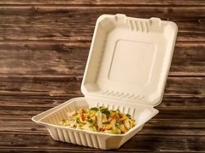 White  8 X 8-inch Biodegradable Clamshell Box