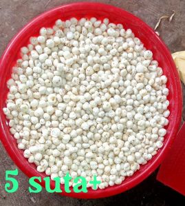 5 sutta 25 mm makhana