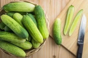 Fresh Cucumber