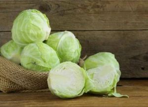 Fresh Green Cabbage