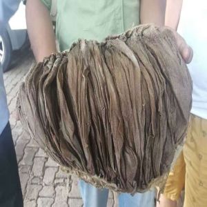Paper Bags