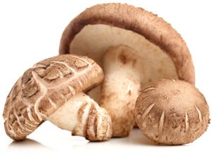 Shiitake Mushroom