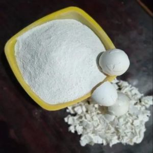 Dehydrated White Egg Shell Powder