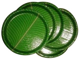 Green Paper Plate