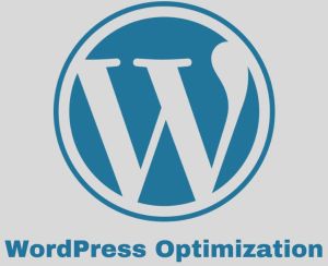 WordPress Optimization