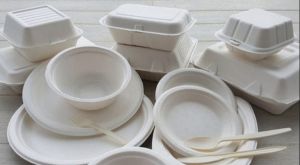 Biodegradable Baggasse Tableware