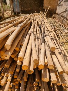 EXSO Bamboo Poles, Length : 4 to 7 Meters, Grade : Single One Piece