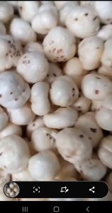 makhana