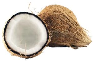 Coconut