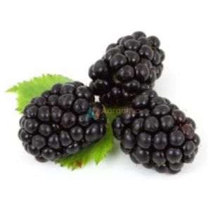 Frozen Blackberry for Smoothies, Desserts, Baking