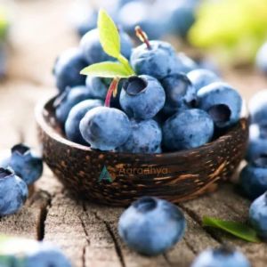 Frozen Blueberry for Smoothies, Baking, Desserts, Or As A Topping
