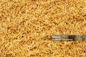rice husk