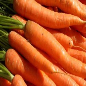A Grade Fresh Carrot, Color : Orange for Cooking, Salads, Snacking