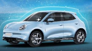 Paint Protection Film