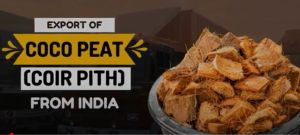 Coco Peat Products