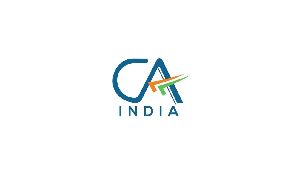 Income Tax Consultant