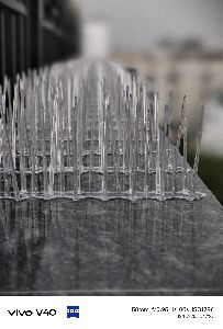 Bird Spikes Installation Services