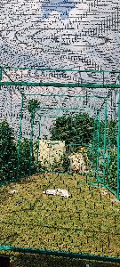 Cricket Practice Net Installation Services