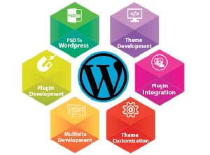 CMS Designing Service