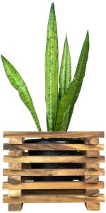 Height Adjustable Wooden Planter Stand - Stack Design