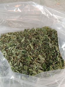 Mint Leave