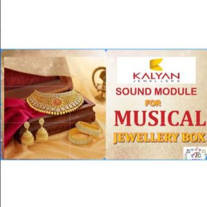 Muslim Prayer Azaan Chip On Board Cob IC For