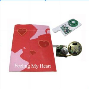 Voice Music Recordable Modules for Audio Promotional Books