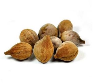 Myrobalan Nuts