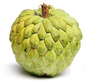 Fresh Custard Apple