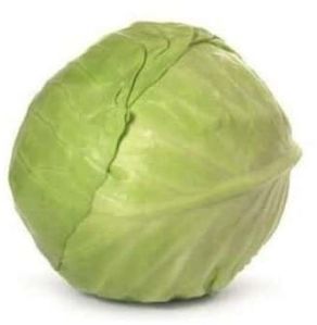Fresh Cabbage for Cooking
