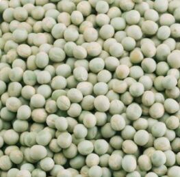 Fresh Green Peas