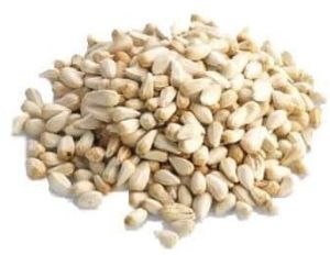 Safflower Seeds, Packaging Type : Loose