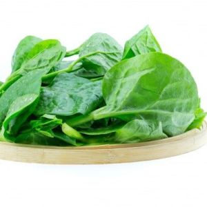 Spinach Leaves for Cooking