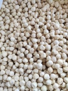 Natural Organic Moringa Kernal Seed, Color : Brown