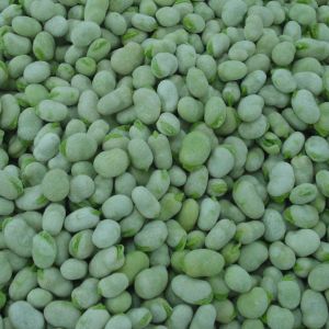 Frozen Broad Bean