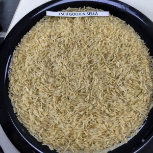 Indian Sama Rice, Color : White, Variety : Sella