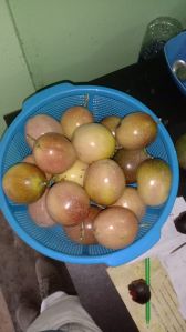 Passion Fruit