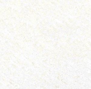 800 X 800m Jasper White Tiles