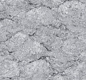 800 X 800m Pride Grey Tiles