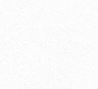 800 X 800m Wiss White Tiles