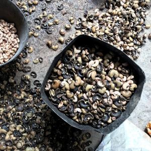 Hard Raw Rejection Cashew Nuts, Purity : 90%