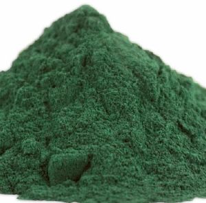 Dried Spirulina Powder