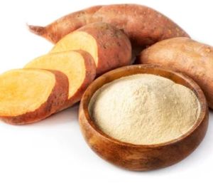 Dehydrated Sweet Potato Powder, Color : Cream