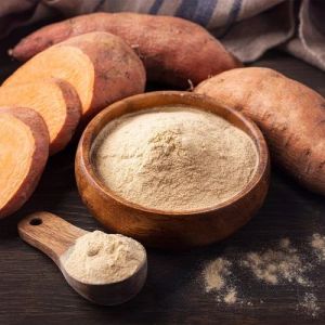 dehydrated sweet potato powder