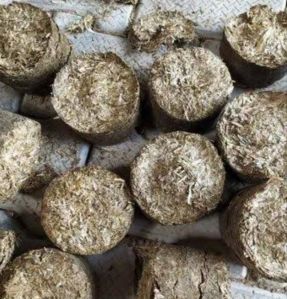 biomass briquettes