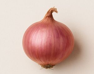 Medium Red Onion