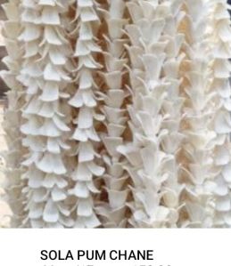 White Sola Wood Flowers, Length : 66 Cm
