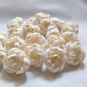 Sola Peony Flower, Color : White