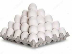 fresh eggs