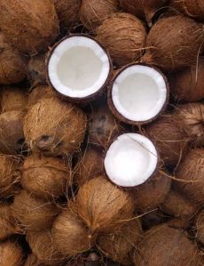 pollachi coconut